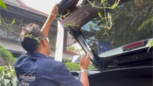 Mobil Bekas Banjir Sekarang Bisa Disamarkan Rapi, Ini yang Harus Diwaspadai | Palapa Inspeksi